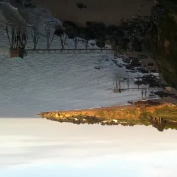 Profil de Céleste, 28 ans, Pute à Comox (British Columbia)